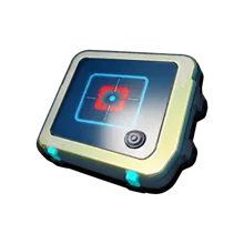 Chip